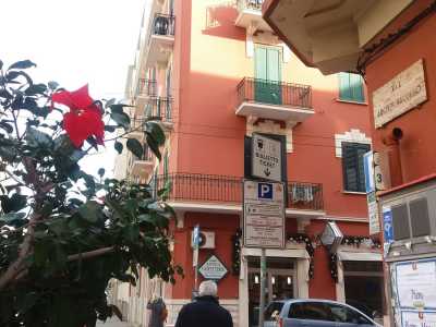Quest�anno hanno messo su una colletta per acquistare delle stelle di natale che sono andate ad arricchire via Arcivescovo Vaccaro...